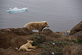 Bernhard Saalfeld - DSC08777.JPG