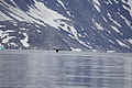 Bernhard Saalfeld - DSC08816.JPG