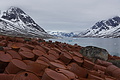 Bernhard Saalfeld - DSC08843.JPG