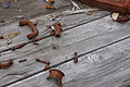 Bernhard Saalfeld - DSC08883.JPG