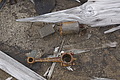 Bernhard Saalfeld - DSC08886.JPG