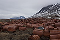 Bernhard Saalfeld - DSC08896.JPG