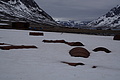 Bernhard Saalfeld - DSC08914.JPG