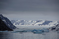 Bernhard Saalfeld - DSC08929.JPG