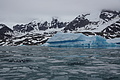 Bernhard Saalfeld - DSC08935.JPG