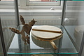 Bernhard Saalfeld - DSC08994.JPG