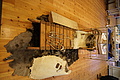 Bernhard Saalfeld - DSC09016.JPG