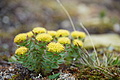 Bernhard Saalfeld - DSC09057.JPG