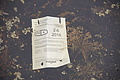Bernhard Saalfeld - DSC09064.JPG