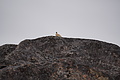 Bernhard Saalfeld - DSC09094.JPG