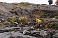Bernhard Saalfeld - DSC09105.JPG