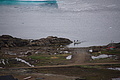 Bernhard Saalfeld - DSC09113.JPG