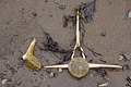 Bernhard Saalfeld - DSC09128.JPG