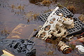 Bernhard Saalfeld - DSC09137.JPG