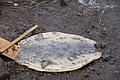 Bernhard Saalfeld - DSC09148.JPG