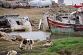 Bernhard Saalfeld - DSC09158.JPG
