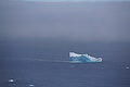 Bernhard Saalfeld - DSC09218.JPG