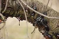 Bernhard Saalfeld - C3.jpg
