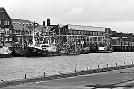 L1000623_t.JPG