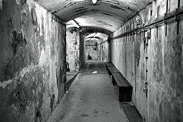 L1000720_t.JPG