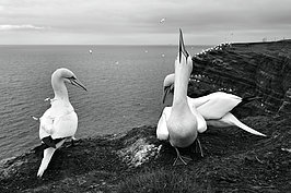 L1000728_t.JPG