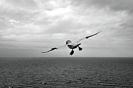 L1000732_t.JPG