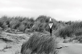 L1000762_t.JPG