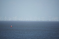 DSC02658_t.JPG