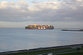 Bernhard Saalfeld - DSC02664.JPG