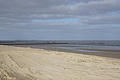 Bernhard Saalfeld - DSC02675.JPG