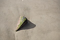 Bernhard Saalfeld - DSC02687.JPG