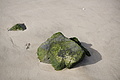 Bernhard Saalfeld - DSC02688.JPG