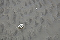 Bernhard Saalfeld - DSC02697.JPG