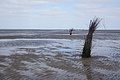 Bernhard Saalfeld - DSC02721.JPG