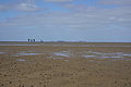 Bernhard Saalfeld - DSC02725.JPG