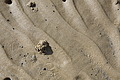 Bernhard Saalfeld - DSC02727.JPG