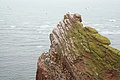 Bernhard Saalfeld - DSC02830.JPG