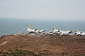 Bernhard Saalfeld - DSC02832.JPG