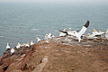 Bernhard Saalfeld - DSC02836.JPG