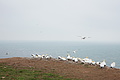 Bernhard Saalfeld - DSC02839.JPG