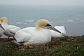 Bernhard Saalfeld - DSC02841.JPG
