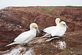Bernhard Saalfeld - DSC02843.JPG