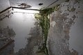 Bernhard Saalfeld - DSC02858.JPG