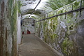 Bernhard Saalfeld - DSC02860.JPG