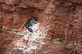 Bernhard Saalfeld - DSC02900.JPG