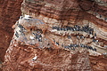 Bernhard Saalfeld - DSC02908.JPG