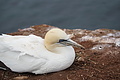 Bernhard Saalfeld - DSC02909.JPG