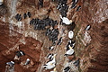 Bernhard Saalfeld - DSC02923.JPG