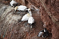 Bernhard Saalfeld - DSC02927.JPG