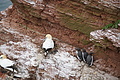 Bernhard Saalfeld - DSC02932.JPG